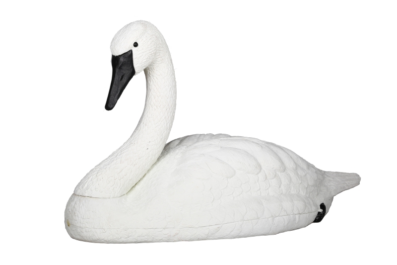 Swan goose decoy