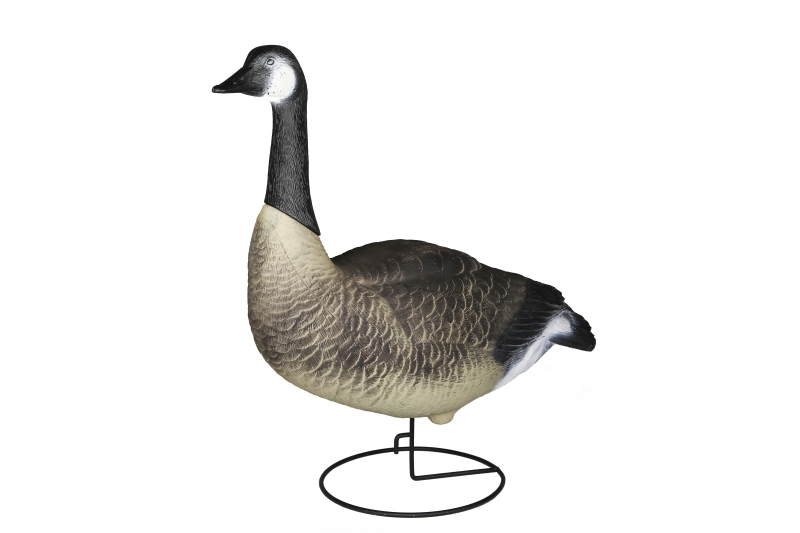 canada goose decoy